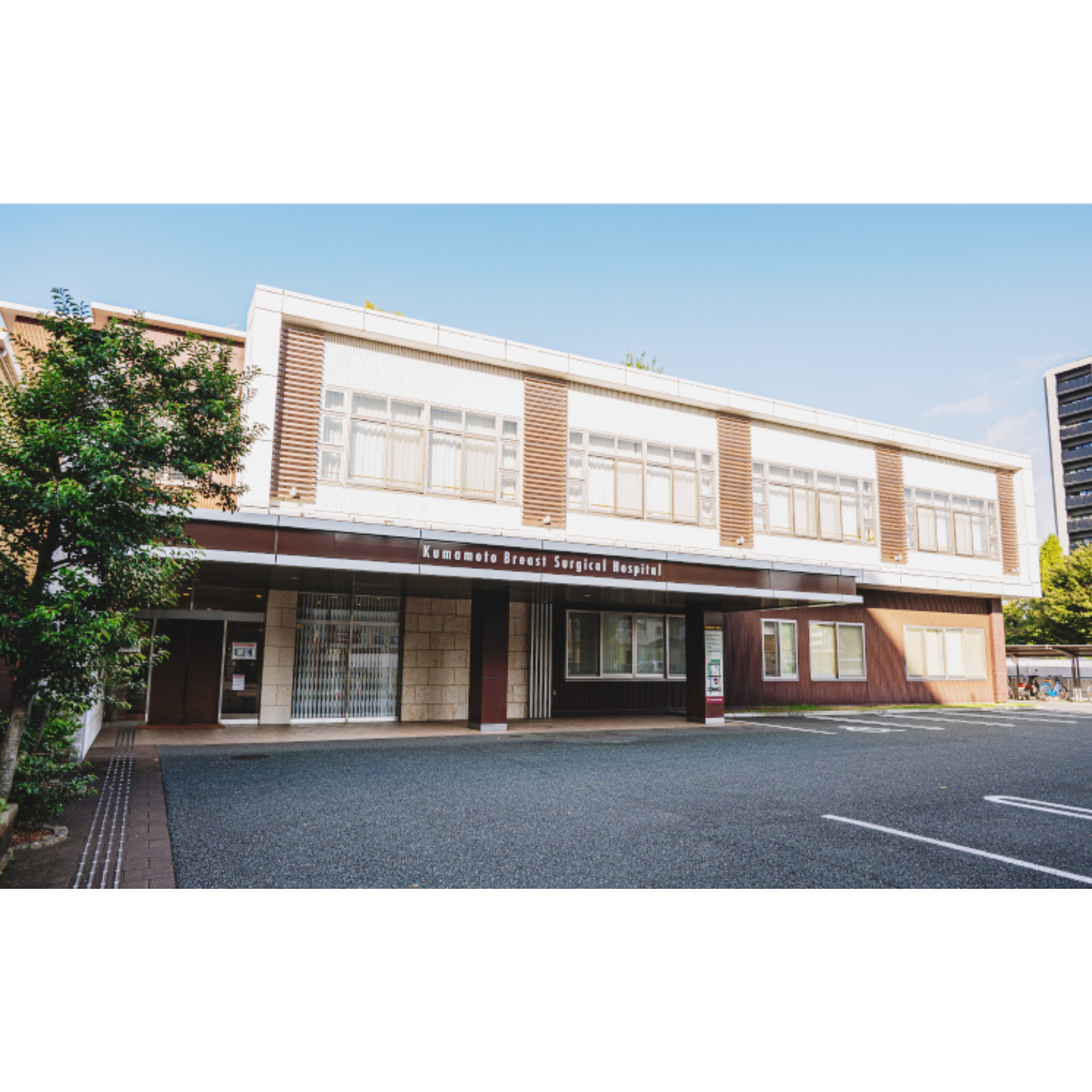 くまもと乳腺外科病院のパート 調理師 病院求人イメージ